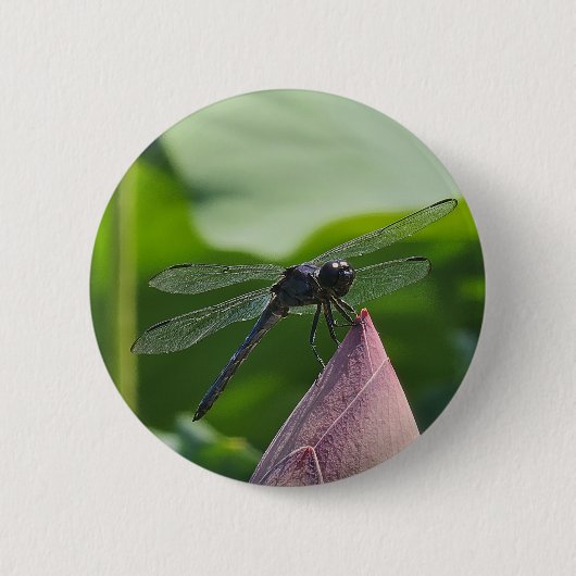 Eine Libelle sitzt zart Button (Vorderseite)