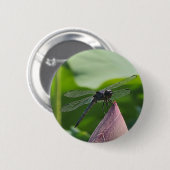 Eine Libelle sitzt zart Button (Vorne & Hinten)