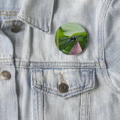 Eine Libelle sitzt zart Button (Beispiel)