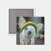 Eine Liebe chinesischer Rasta Dog Magnet (Vorderseite/Rückseite)