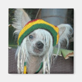 Eine Liebe chinesischer Rasta Dog Magnet (Vorne)
