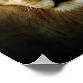 Eine Liebe Löwe - Poster / Print (Ecke)