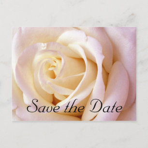 Eine Liebe, Save the Date Postkarte