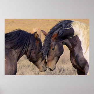 Eine Liebe von Pferden Poster