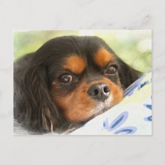 Eine Liebe wie kein anderer Cavalier King Charles  Postkarte (Vorderseite)