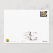 Eine liebende Mahlzeit... Postkarte (Rückseite)