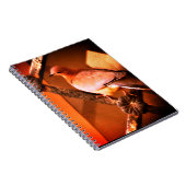 Eine liebliche Taube Notizblock (Rechte Seite)