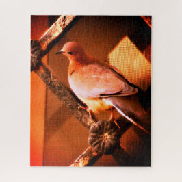 Eine liebliche Taube Puzzle