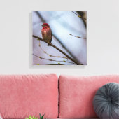 Eine Lila Finch 12 x 12 gearbeitete Canvas Print Leinwanddruck (Insitu (Wohnzimmer))