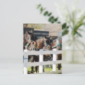 Eine Linie von Ameisenpferden Postkarte (Stehend Vorderseite)