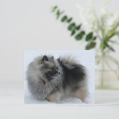 Eine Lola im Winter Postkarte (Stehend Vorderseite)