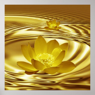 Eine Lotus-Blume mit Goldfarben und Reflexionen Poster
