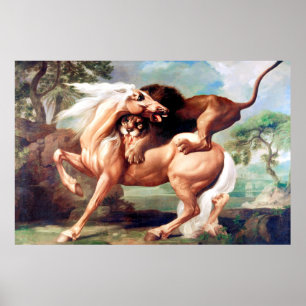 Eine Löwe attackiert ein Pferdebild Poster