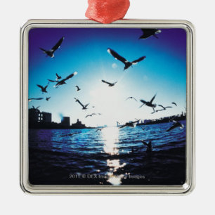 Eine Luftfisheye Linseansicht von Tokyo-Bucht, Silbernes Ornament
