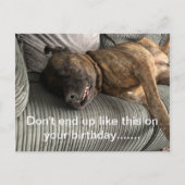Eine lustige Bull Mastiff-Postkarte Postkarte (Vorderseite)