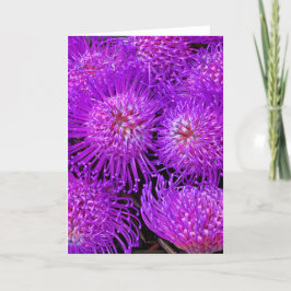 Eine lustige Funky Blume Card Karte