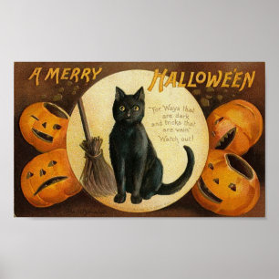Eine lustige Halloween-Katze-Karte Poster