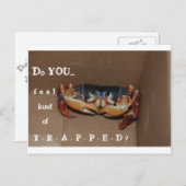 Eine lustige Karte, um einen Freund zu jubeln... Postkarte (Vorne/Hinten)