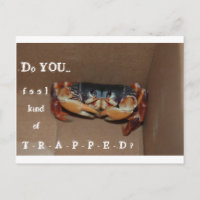 Eine lustige Karte, um einen Freund zu jubeln...