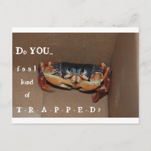 Eine lustige Karte, um einen Freund zu jubeln... Postkarte (Vorderseite)