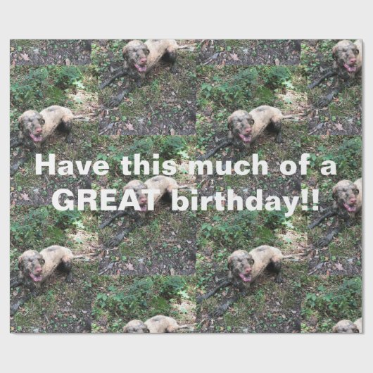 Eine lustige ungarische Vizsla-Rolle von Verpackun Geschenkpapier (Flach)