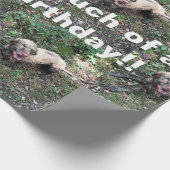 Eine lustige ungarische Vizsla-Rolle von Verpackun Geschenkpapier (Ecke)