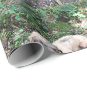 Eine lustige ungarische Vizsla-Rolle von Verpackun Geschenkpapier (Rolleneckpunkt)