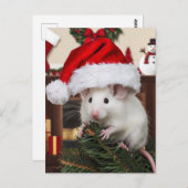 Eine lustige Weihnachtsmaus Postkarte (Vorne/Hinten)
