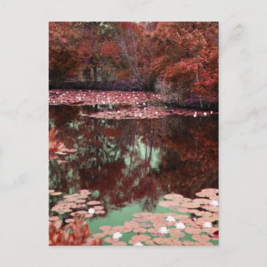 Eine magische Landschaft Postkarte (Vorderseite)