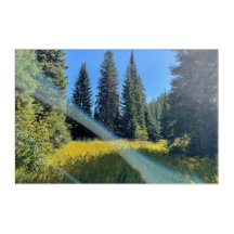 Eine magische, waldakrylische Wandkunst