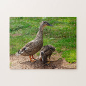 Eine Mallard Duck und ihr Duckling Jigsaw Puzzle (Horizontal)