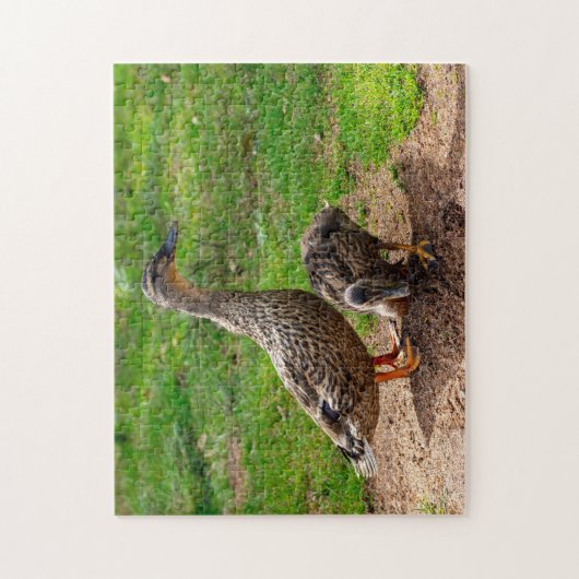 Eine Mallard Duck und ihr Duckling Jigsaw Puzzle (Vertikal)