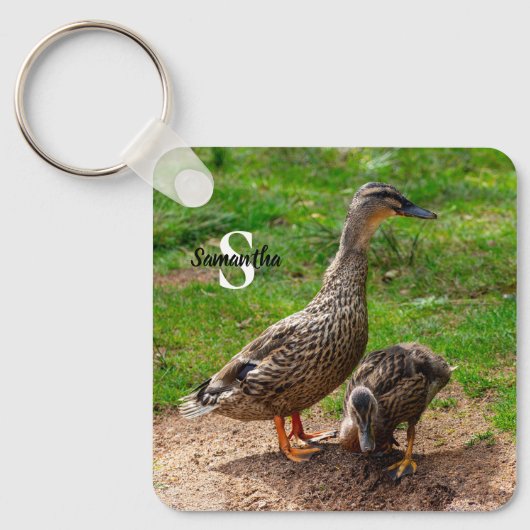 Eine Mallard-Duck und ihr Duckling Keyring Schlüsselanhänger (Vorderseite)