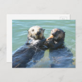 Eine Mama, die ihr Jungtier füttre Postkarte (Vorne/Hinten)