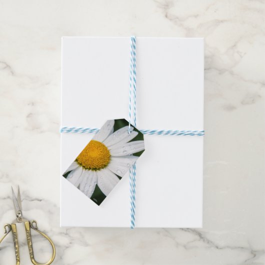 Eine Margeritte ist grün Geschenkanhänger (Mit Garn)