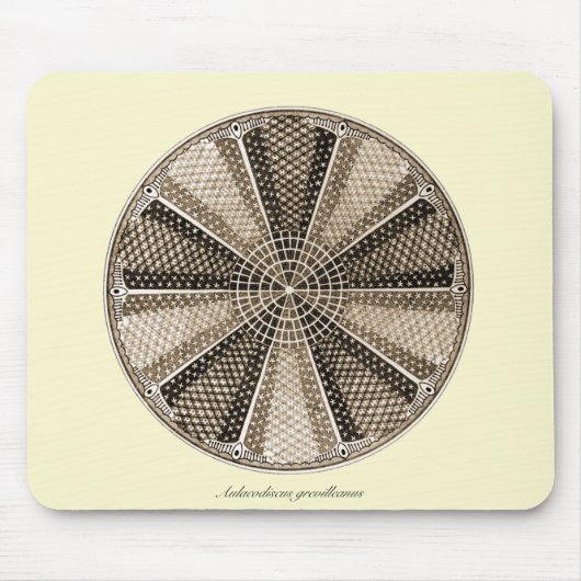 Eine Marinediatomee Mousepad (Vorne)
