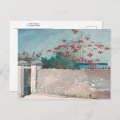 Eine Mauer, Nassau von Winslow Homer Postkarte (Vorne/Hinten)