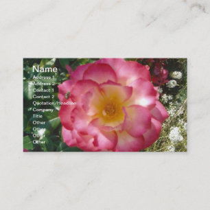 Eine mehrfarbige Rose Visitenkarte