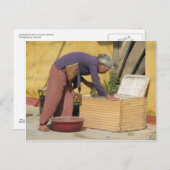 Eine Melange von Farben Postkarte (Vorne/Hinten)