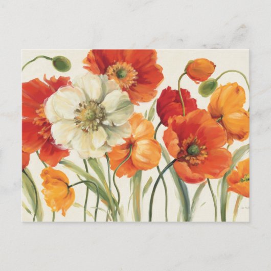 Eine Melodie der Poppies Postkarte (Vorderseite)