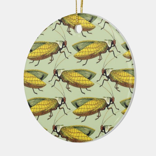 Eine Menschenmenge von Katydids Ornament (Links)