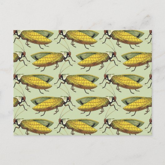 Eine Menschenmenge von Katydids Postkarte (Vorderseite)