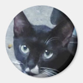Eine merkwürdige Katze hinter der Tür Magnet (Vorne)
