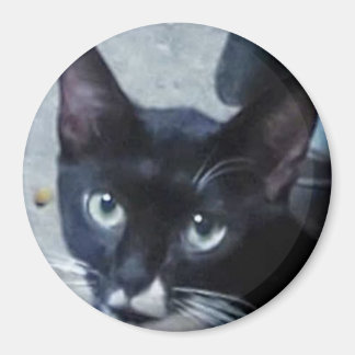 Eine merkwürdige Katze hinter der Tür Magnet