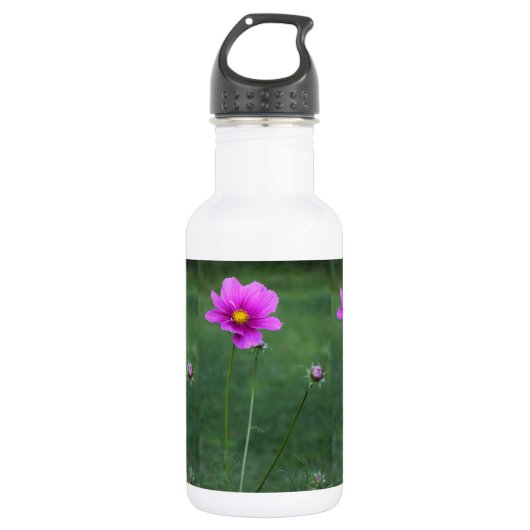 Eine mexikanische Aster Edelstahlflasche (Vorderseite)
