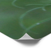 Eine mexikanische Aster Poster (Ecke)