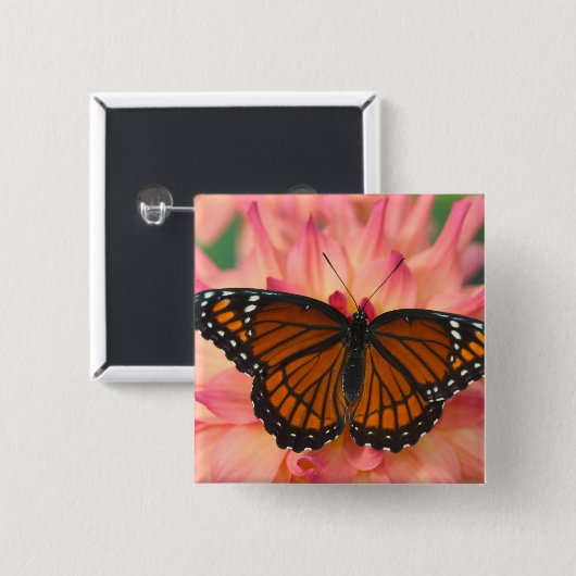 Eine Mimik des Monarchschmetterlings Button (Vorne & Hinten)