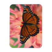 Eine Mimik des Monarchschmetterlings Magnet (Vertikal)