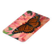 Eine Mimik des Monarchschmetterlings Magnet (Linke Seite)