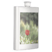Eine Mohnmalerei künstlerischer Wildblume Flachmann (Rechts)